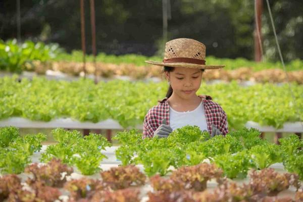 Rekomendasi Holiday Program Anak