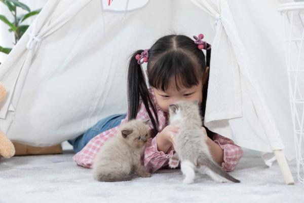 Jangan Biarkan Anak Pegang Binatang Ini