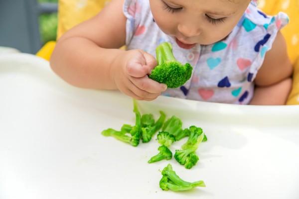 anak suka sayur