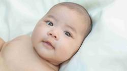 /artikel/bentuk-kepala-bayi-normal-sejumlah-kelainan-yang-perlu-diwaspadai/'s thumbnail